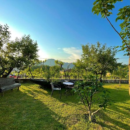Country House Djurisic Virpazar Exterior foto